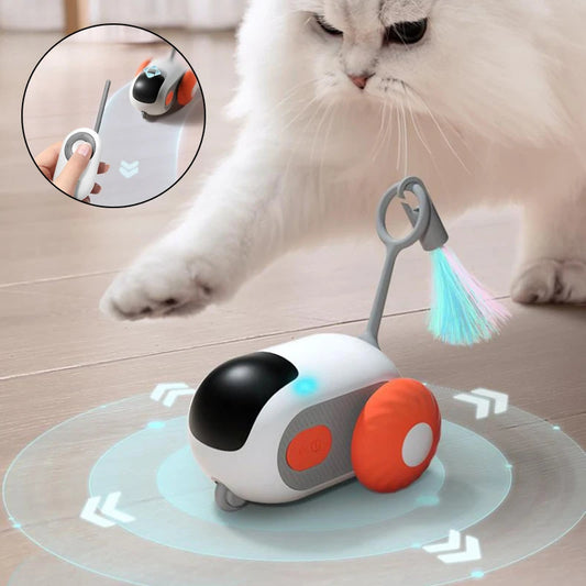 ENVIROYAN Automatic car cat toy